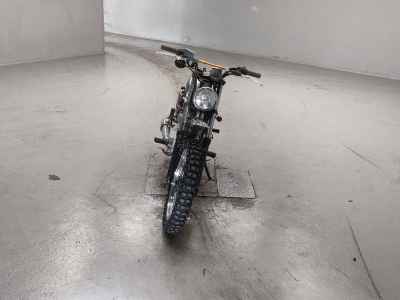 Suzuki GrassTracker Bigboy