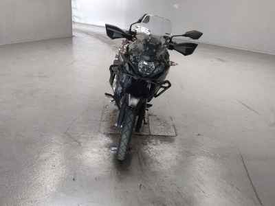 Kawasaki Versys-X 250 2018