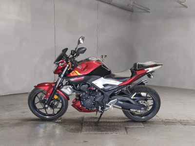 Yamaha MT-25 2016