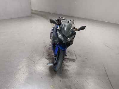 Kawasaki Ninja 250 2015