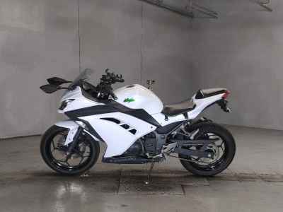 Kawasaki Ninja 250 2015