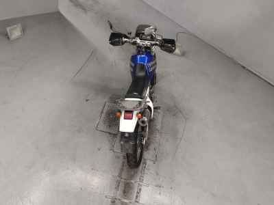 Suzuki Djebel 250XC