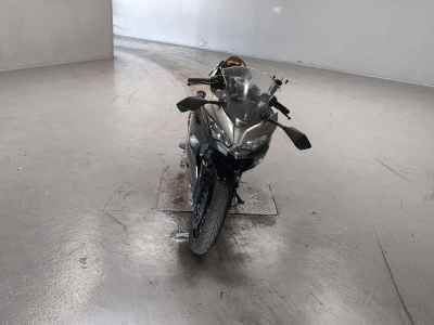 Kawasaki Ninja 250 2019