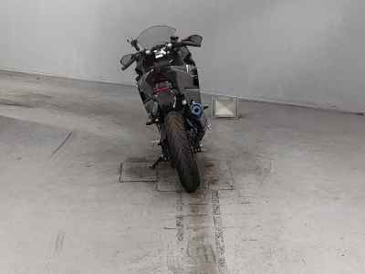 Kawasaki Ninja 250 2019