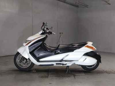 Suzuki Gemma 250