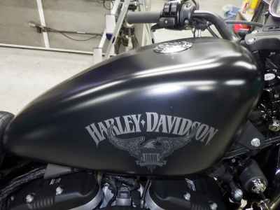 Harley-Davidson Sportster Iron XL883N 2016