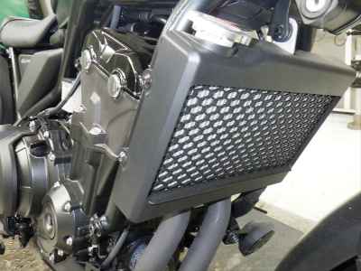 Honda CL500 2025