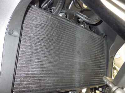 Honda NT1100 2022