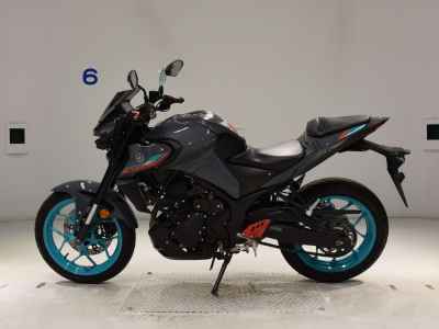Yamaha MT-25 2022