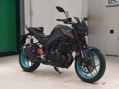 Yamaha MT-25 2022