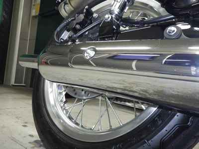 Kawasaki W800 2025