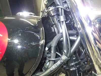 Kawasaki W800 2025