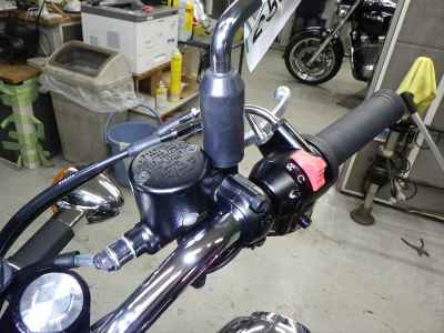 Kawasaki W800 2025