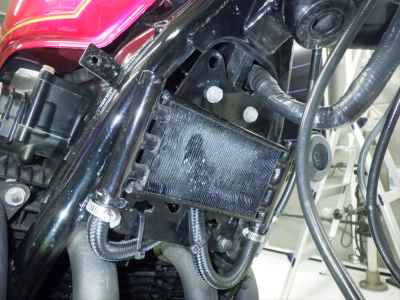 Kawasaki Z1000 2023