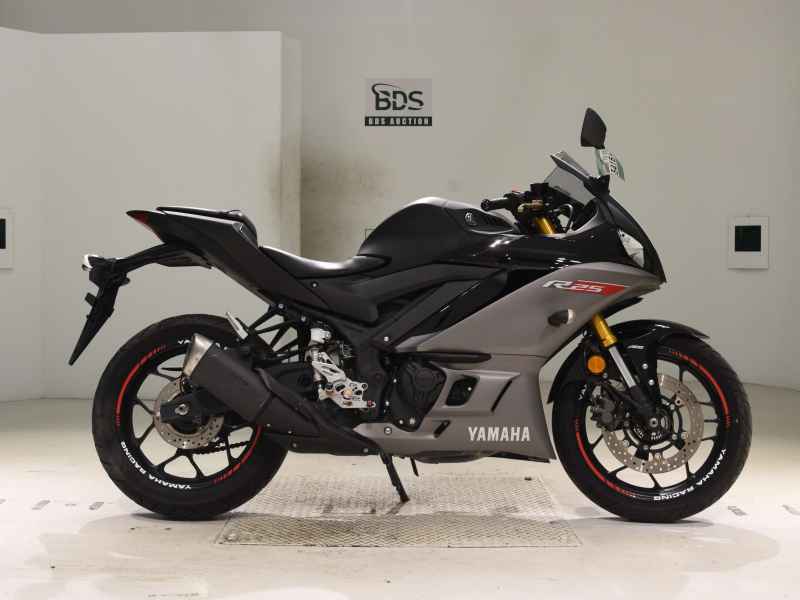 Yamaha YZF-R25 2019