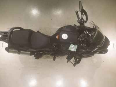 Benelli TRK502X 2025