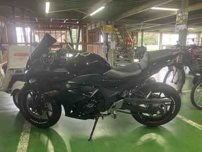 Suzuki GSX250R