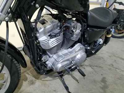 Harley-Davidson Sportster XL883L 2008