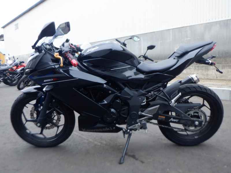 Kawasaki Ninja 250 2016