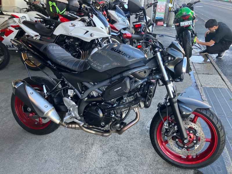 Suzuki SV650 2024