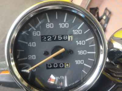 Yamaha ZEAL FZX250