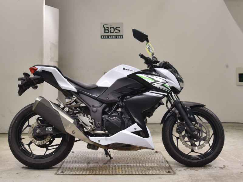 Kawasaki Z250 2014