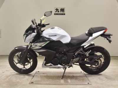 Kawasaki Z250 2014