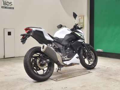 Kawasaki Z250 2014