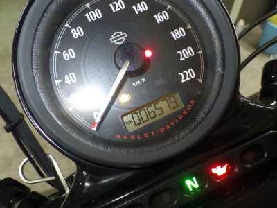 Harley-Davidson Sportster Forty-Eight XL1200X 2019