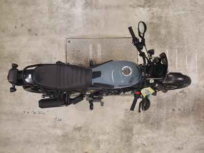 Honda CL250 2023