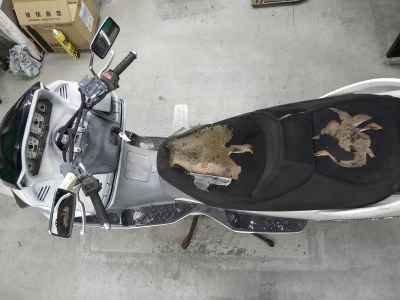 Suzuki Skywave 250S