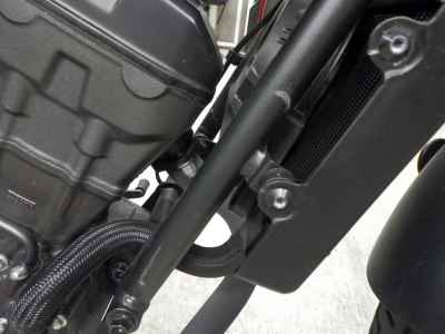 Honda Rebel CMX250 2024