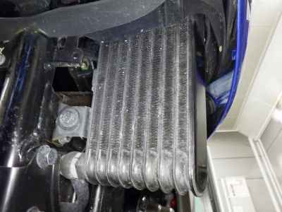 Suzuki Gixxer 250SF 2021