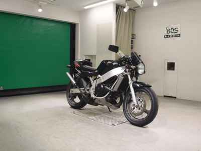 Suzuki WOLF250