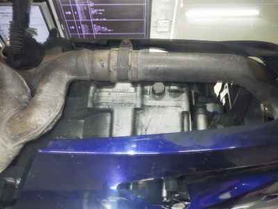 Suzuki SV1000S 2005