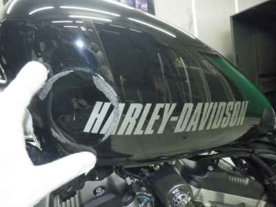 Harley-Davidson Roadster XL1200CX 2017