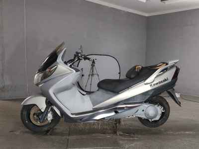 Kawasaki Epsilon 250 2005