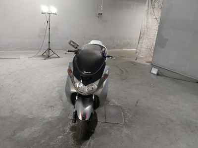 Kawasaki Epsilon 250 2005