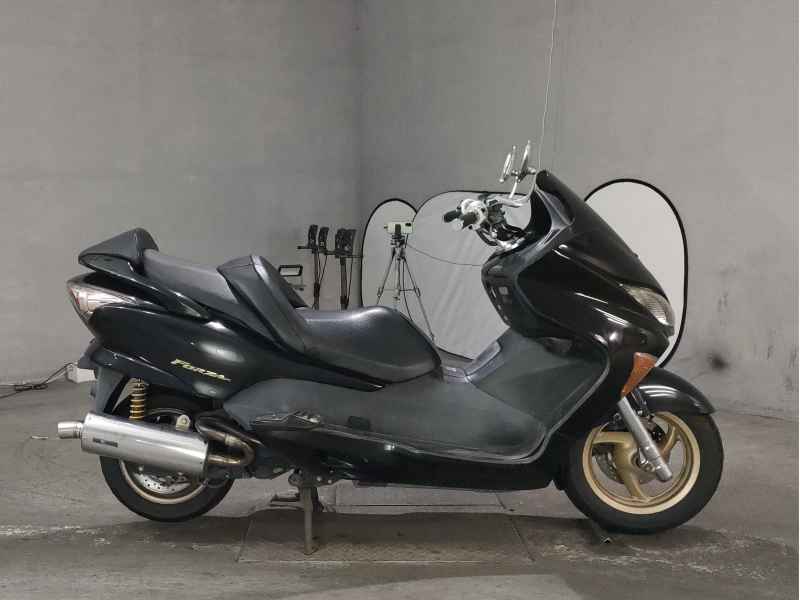 Honda Forza Z 2007