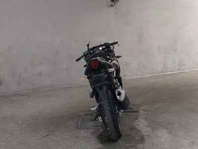 Suzuki GSX250R