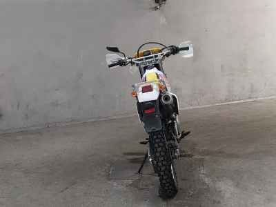 Suzuki DR250R
