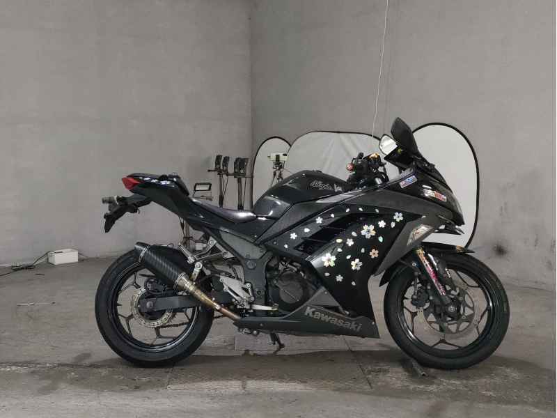 Kawasaki Ninja 250 2013