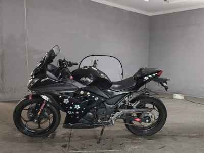 Kawasaki Ninja 250 2013