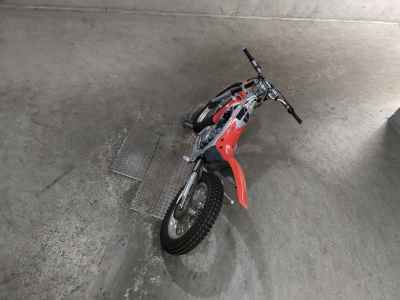 Honda RTL250R