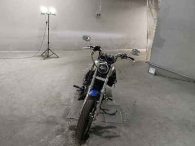 Harley-Davidson Sportster XL1200R 2008