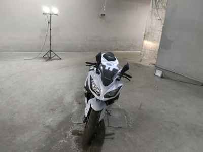 Kawasaki Ninja 250 2015