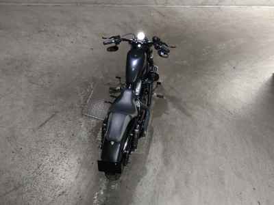 Harley-Davidson Sportster Forty-Eight XL1200X 2022