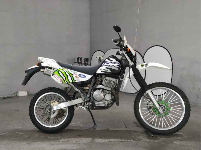 Suzuki DR250R