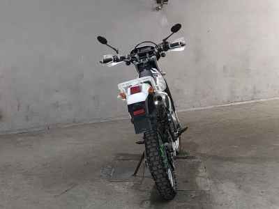 Suzuki DR250R
