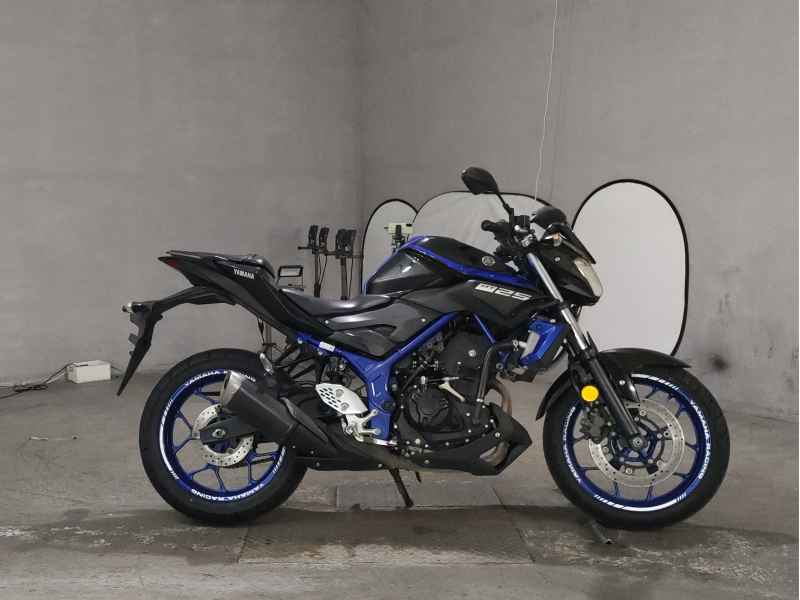 Yamaha MT-25 2018